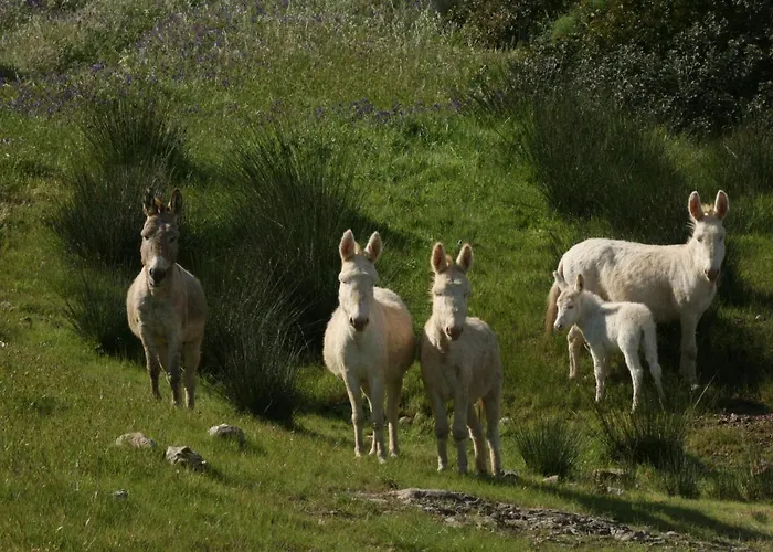 Szálloda 103 Boutique